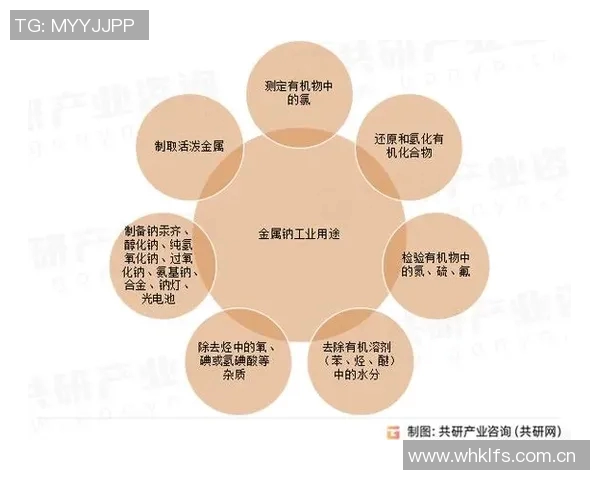 转会市场价格泡沫的形成机制与未来发展趋势分析 转会市场价格泡沫的形成机制与未来发展趋势分析