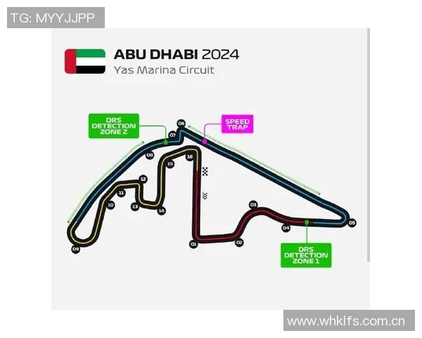 F1赛季车队协作与赛道表现关系
