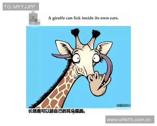 你不知道的VAR：十大冷知识大揭秘